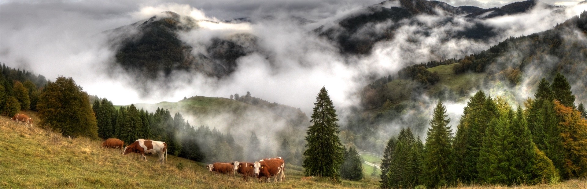 eow todtnau erdgas unternehmen header