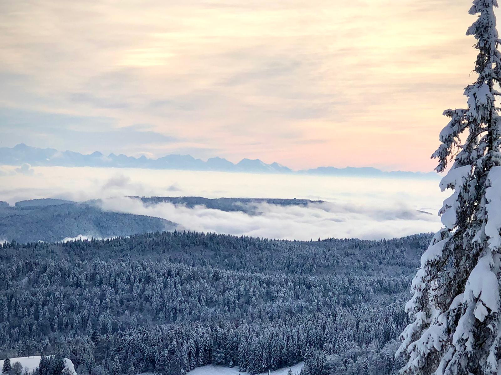 eow-todtnau-waerme-fernwaerme-header