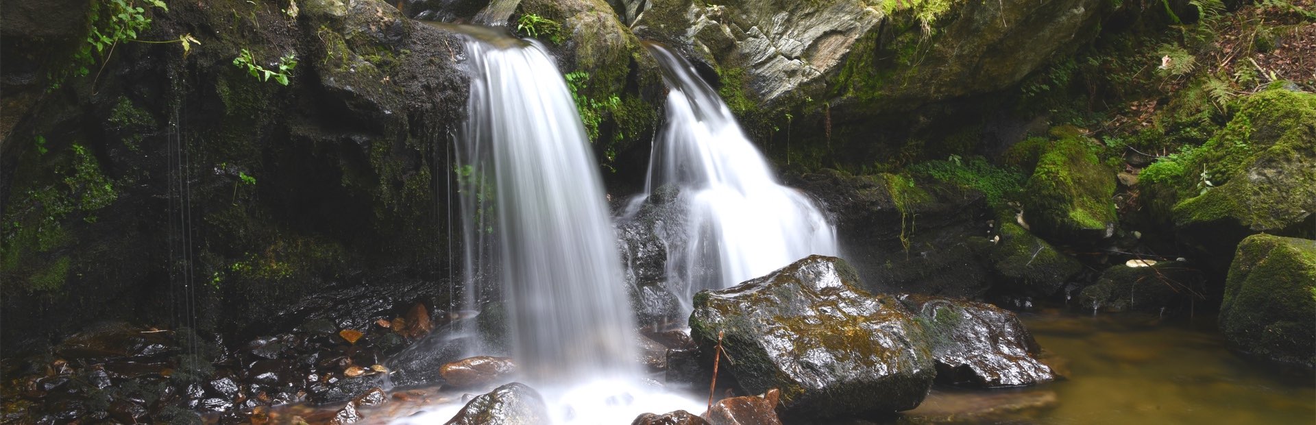 eow todtnau wasser trinkwasser analyse header