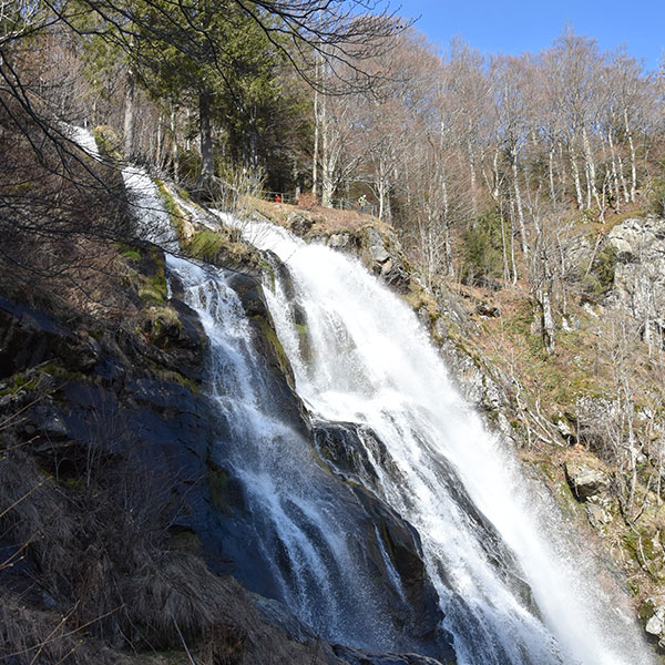 eow todtnau wasserpreise